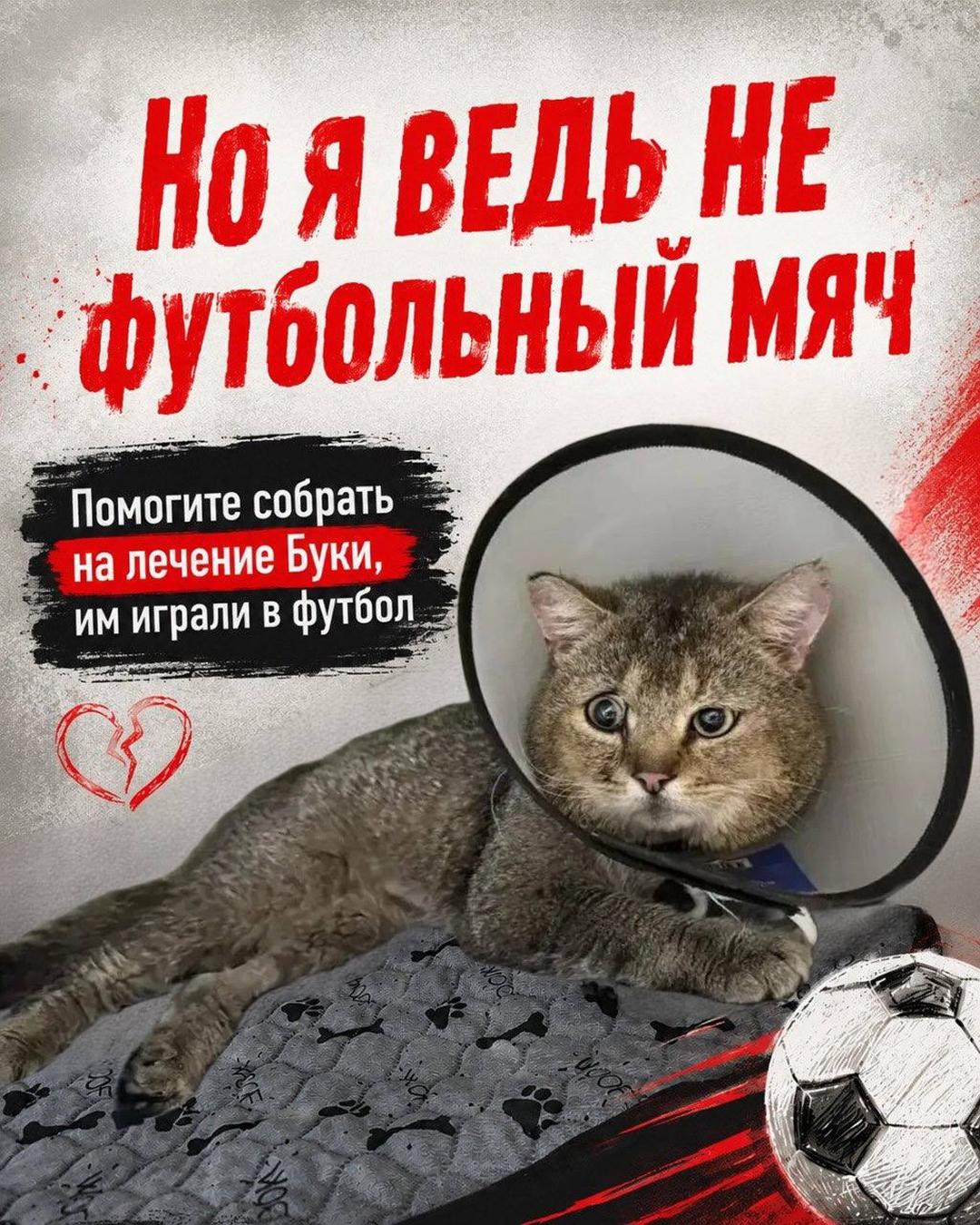 Рекорды и факты каждый день!