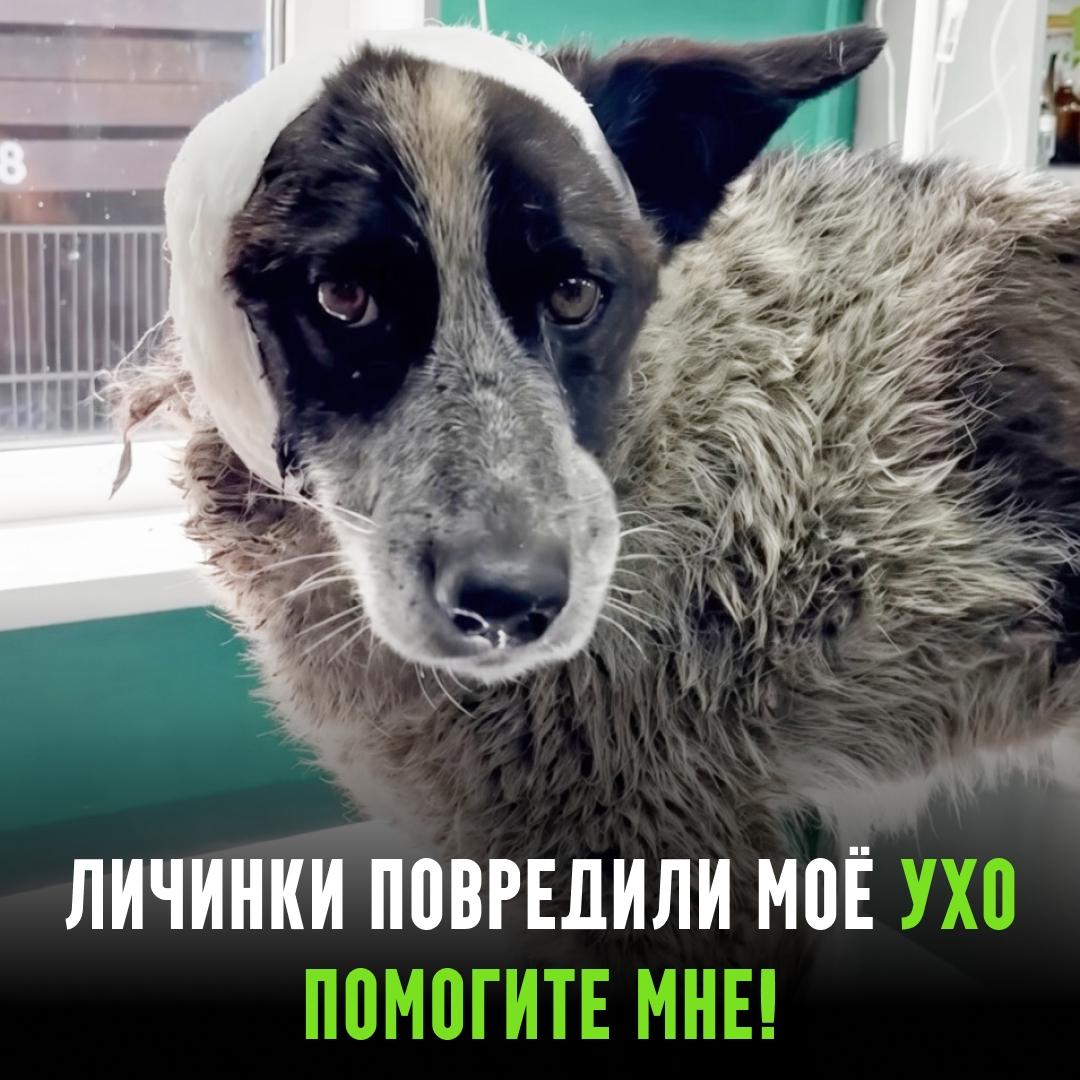 Рекорды и факты каждый день!