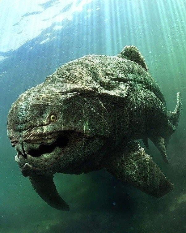 Рекорды и факты каждый день!