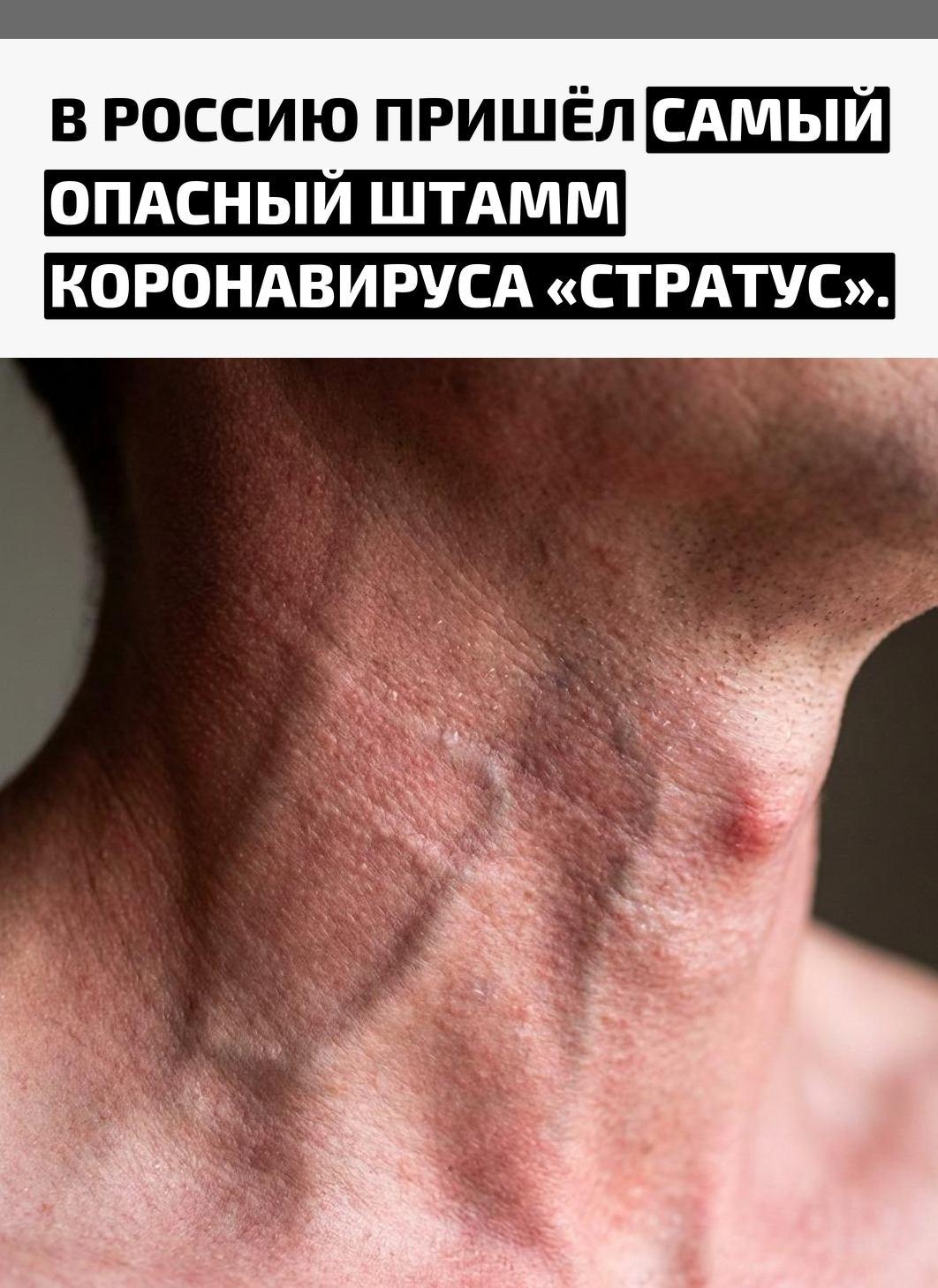 Рекорды и факты каждый день!