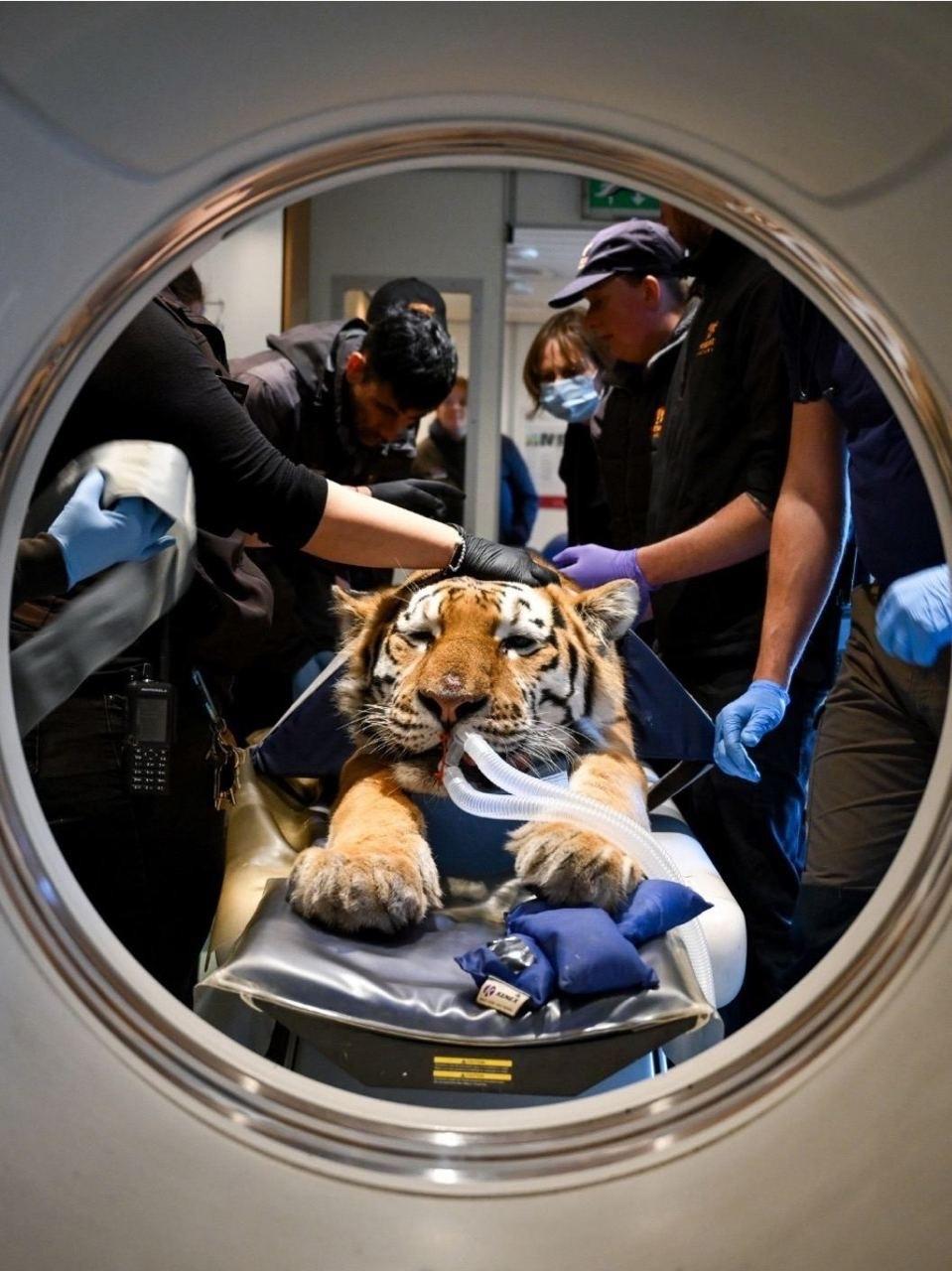 Рекорды и факты каждый день!