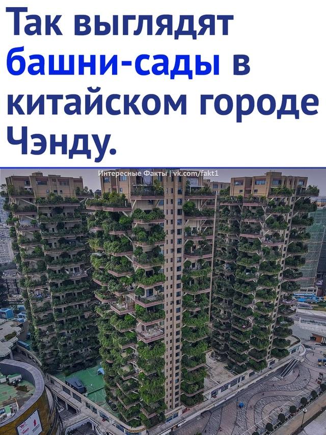 Без комментария