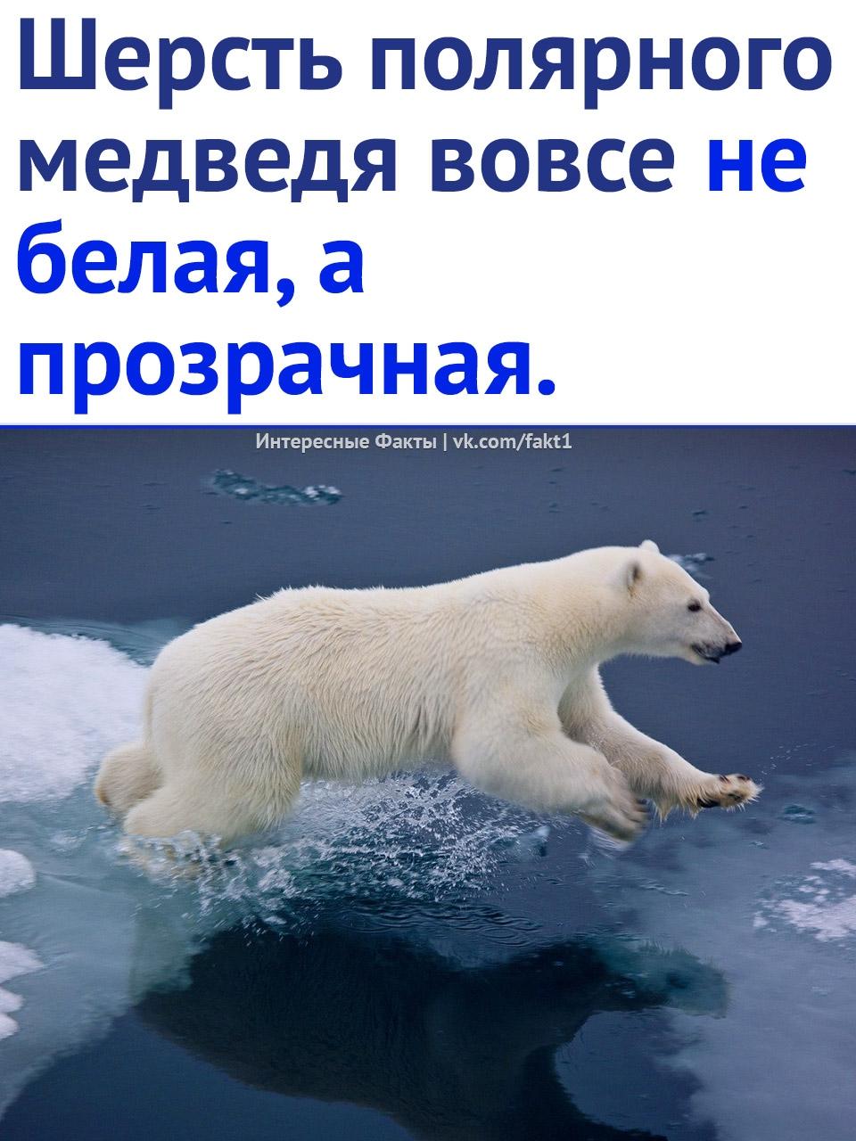 Без комментария