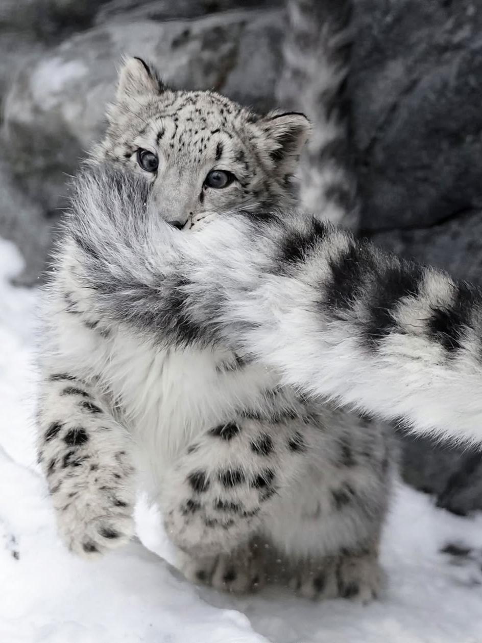 Рекорды и факты каждый день!