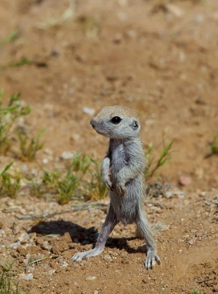 Рекорды и факты каждый день!