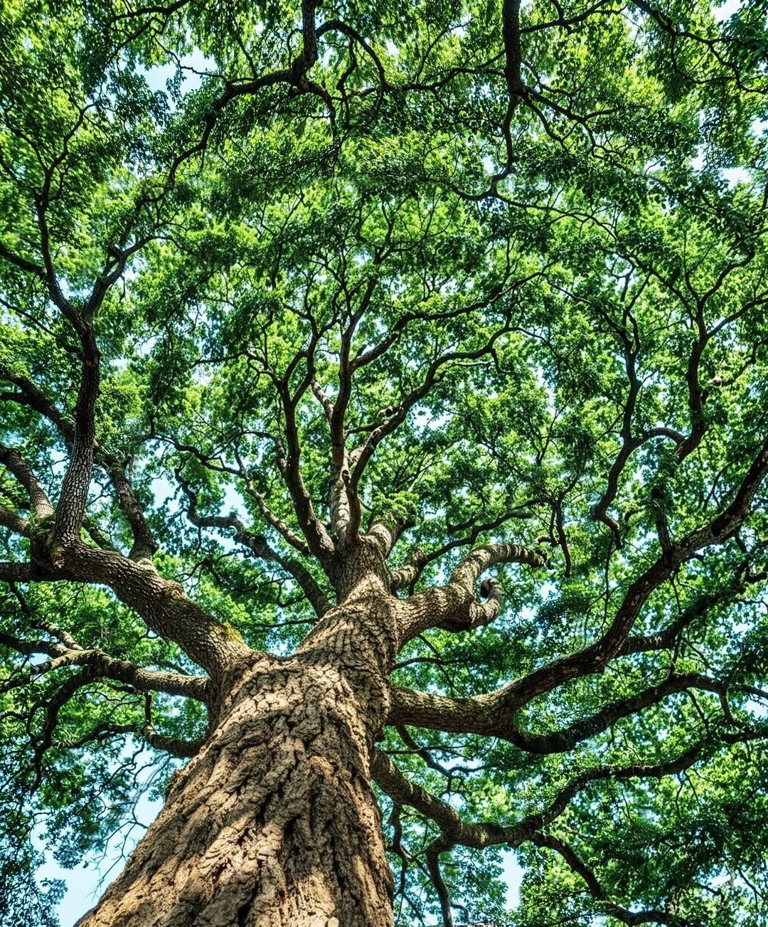 Рекорды и факты каждый день!