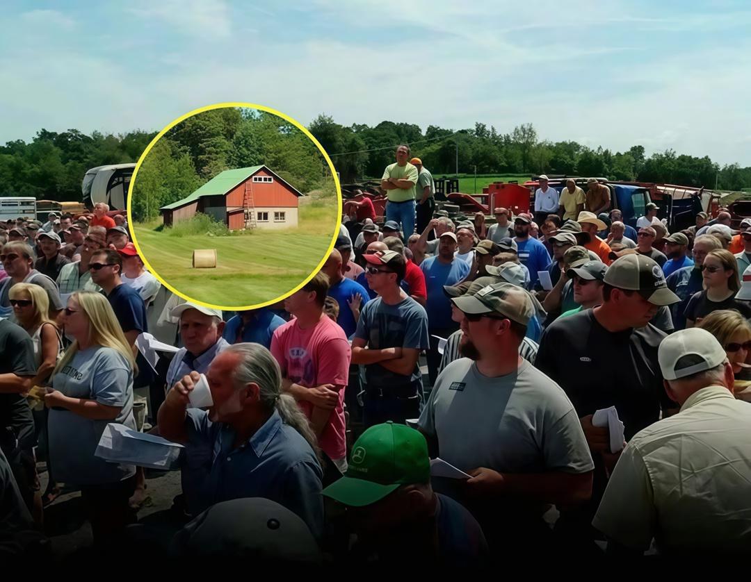 Во время аукциона в Небраске, США, более 200 фермеров хранили молчание, чтобы молодой человек по имени Дэвид мог выкупить ферму площадью 80 акров, которая принадлежала его семье на протяжении нескольких поколений