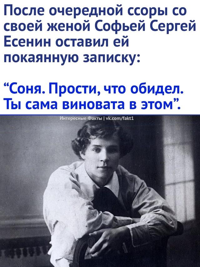 Без комментария