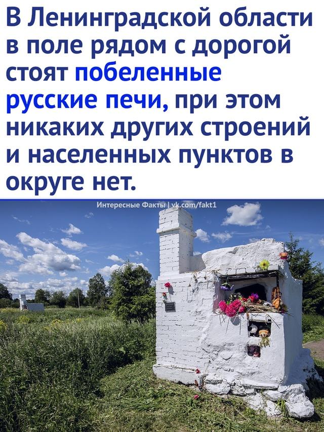 Без комментария