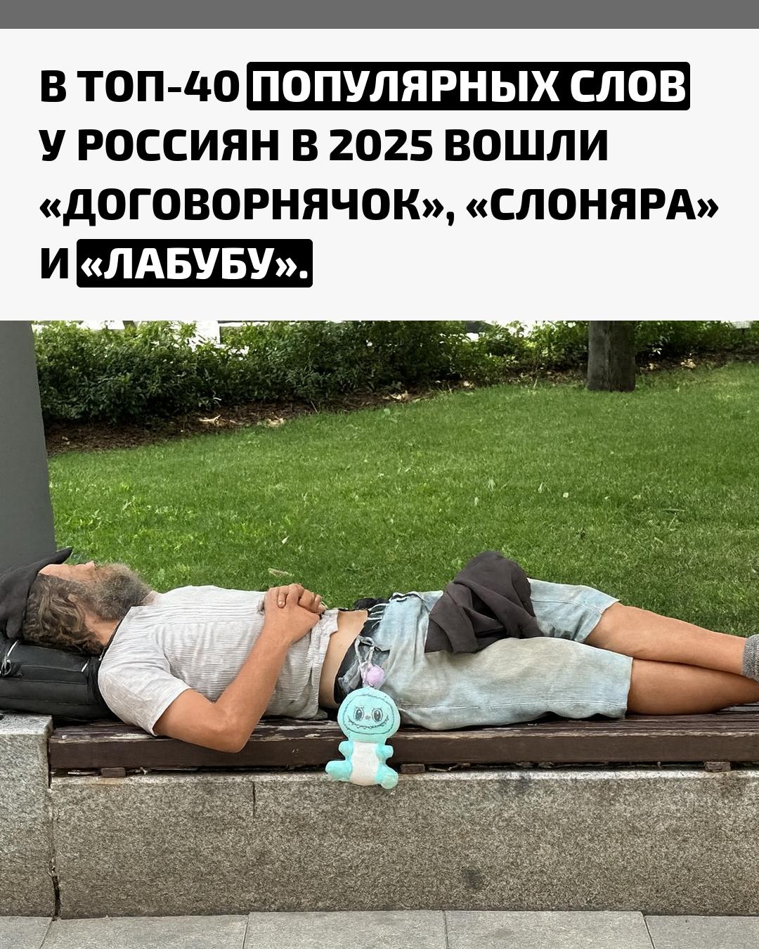 Среди самых часто используемых выражений оказались «договорнячок», «слоняра» и «лабубу». Эти слова возглавили рейтинг, отражающий языковые привычки россиян в 2025 году.