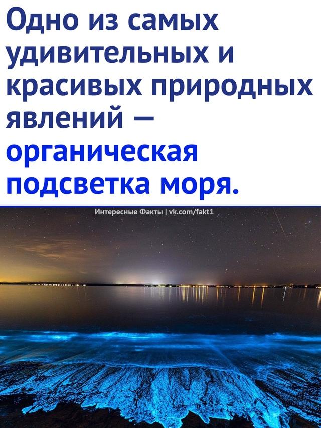 Без комментария