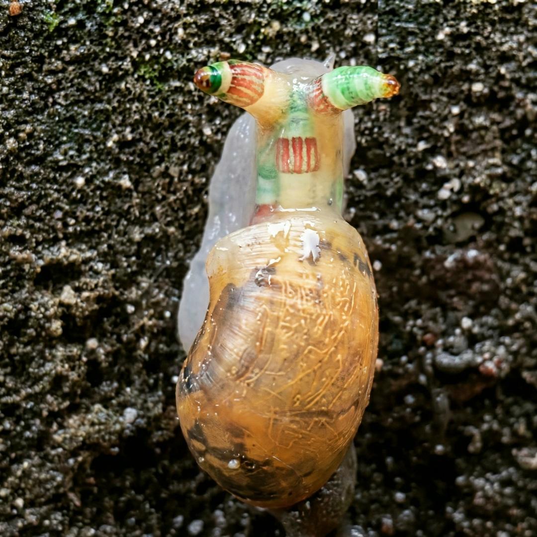 Рекорды и факты каждый день!