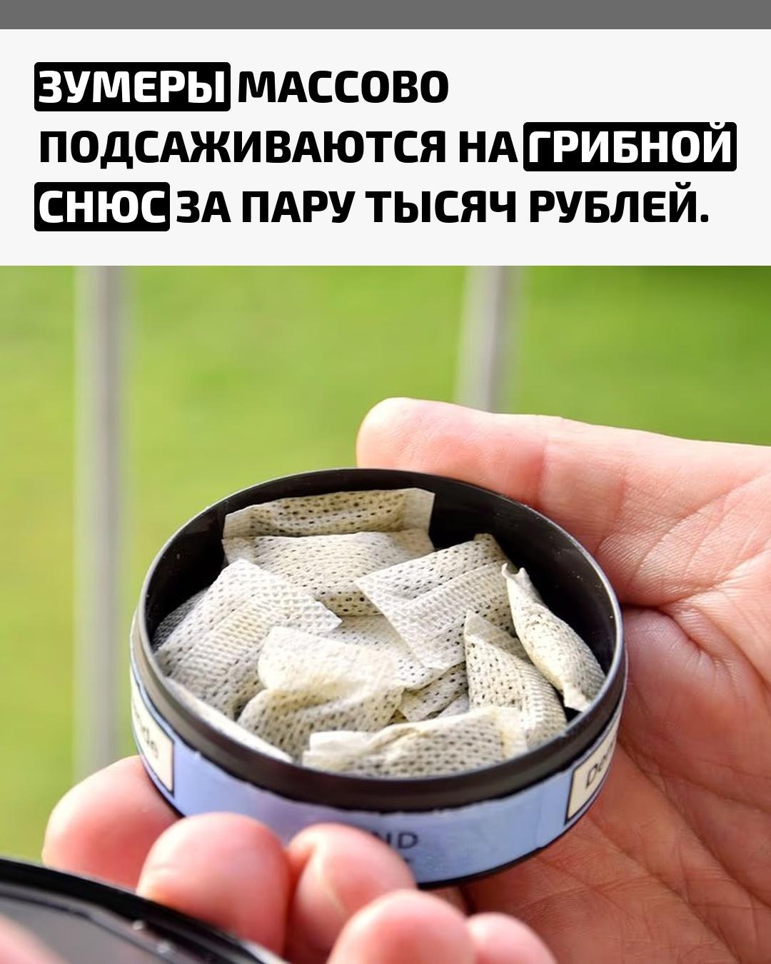 Молодёжи активно продают смесь ежовика гребенчатого, бакопы и гуараны, обещая прилив энергии и выносливости. Цена вопроса — пара тысяч рублей.