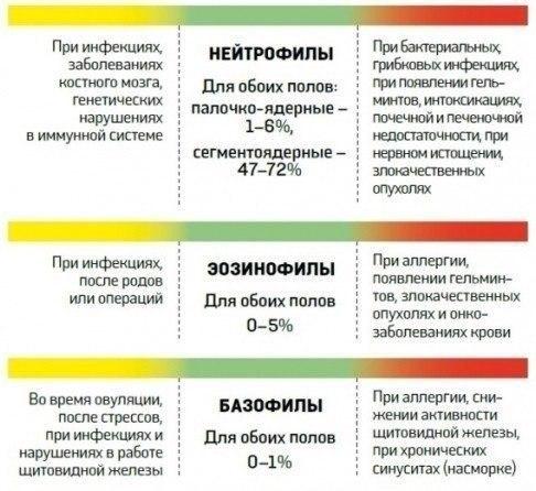 О чем расскажет анализ крови?