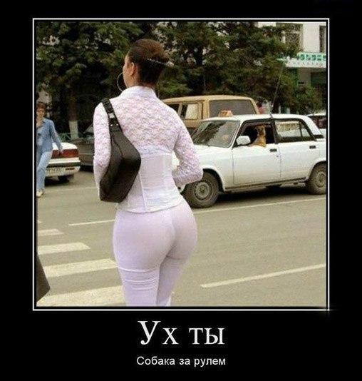 Без комментария